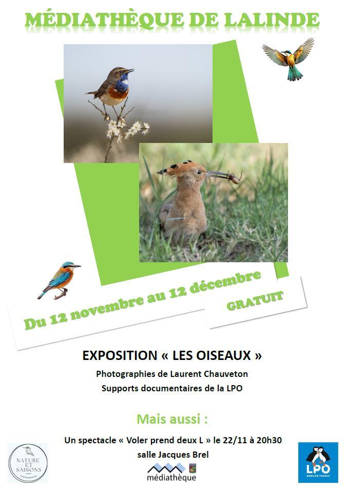 Affiche exposition les oiseaux du 12 11 au 12 12 2024